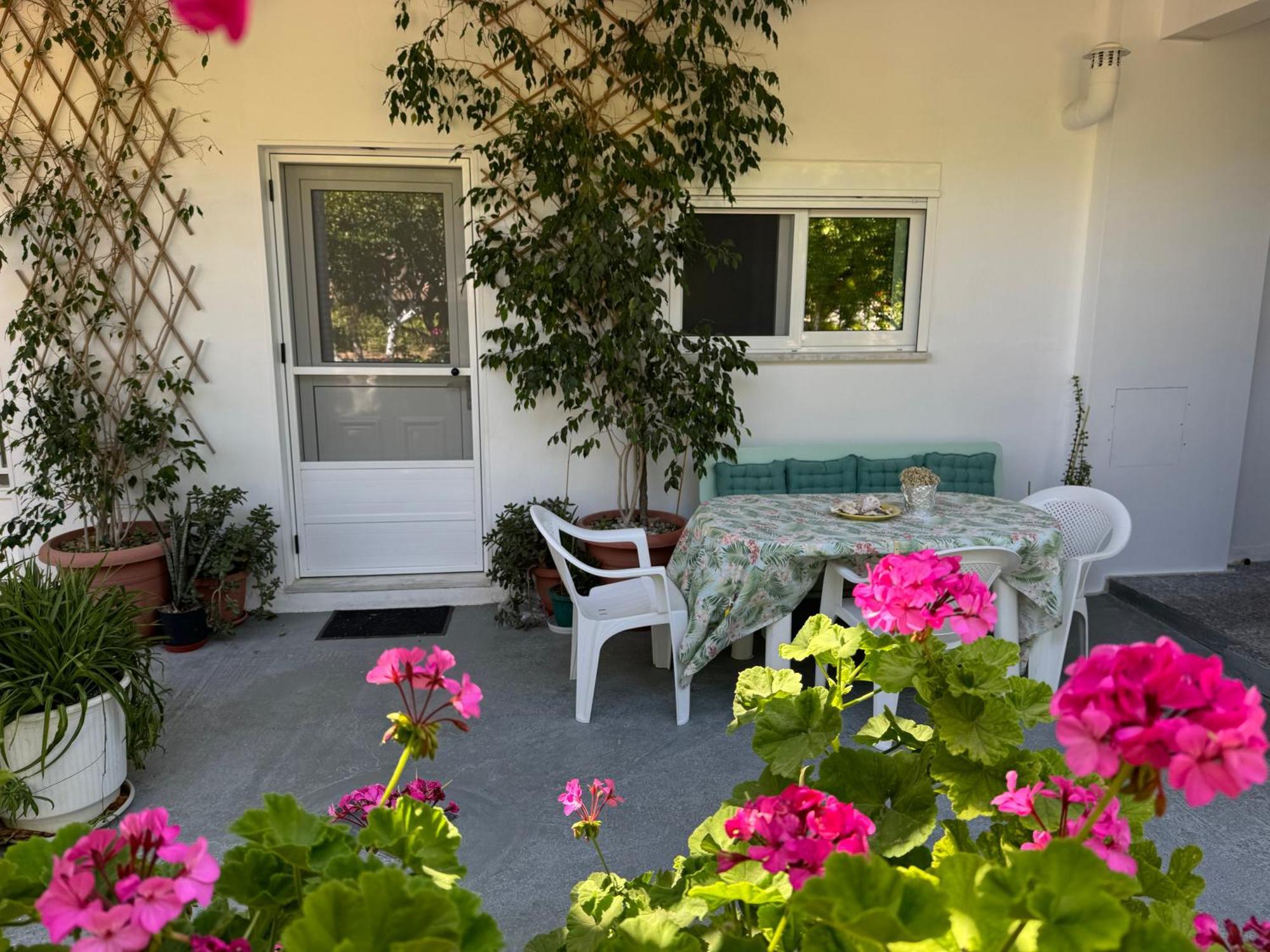 Lemon Tree's House Holiday home *